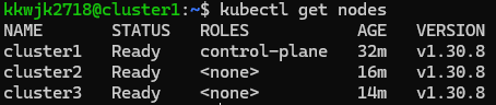 kubectl get nodes